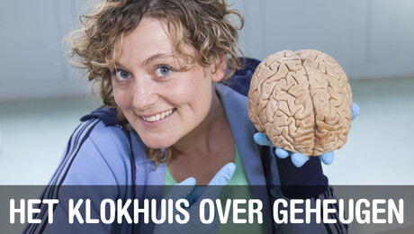 Het Klokhuis | Geheugen